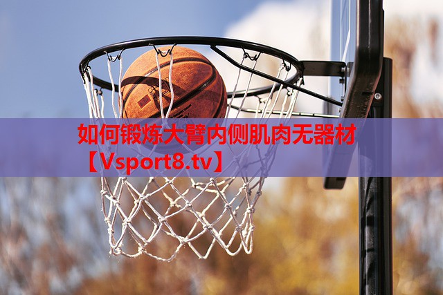 如何锻炼大臂内侧肌肉无器材