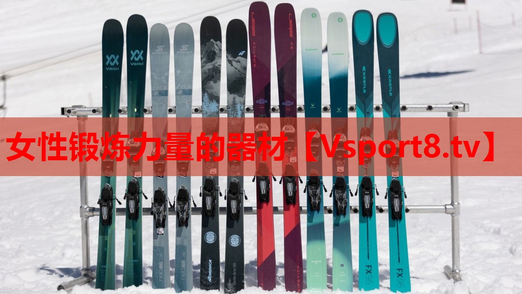 女性锻炼力量的器材