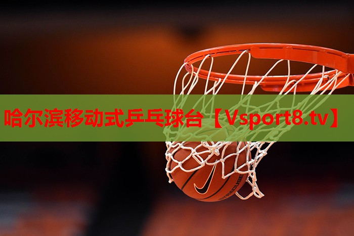 哈尔滨移动式乒乓球台