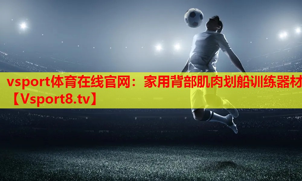 家用背部肌肉划船训练器材 家用背部肌肉划船训练器材