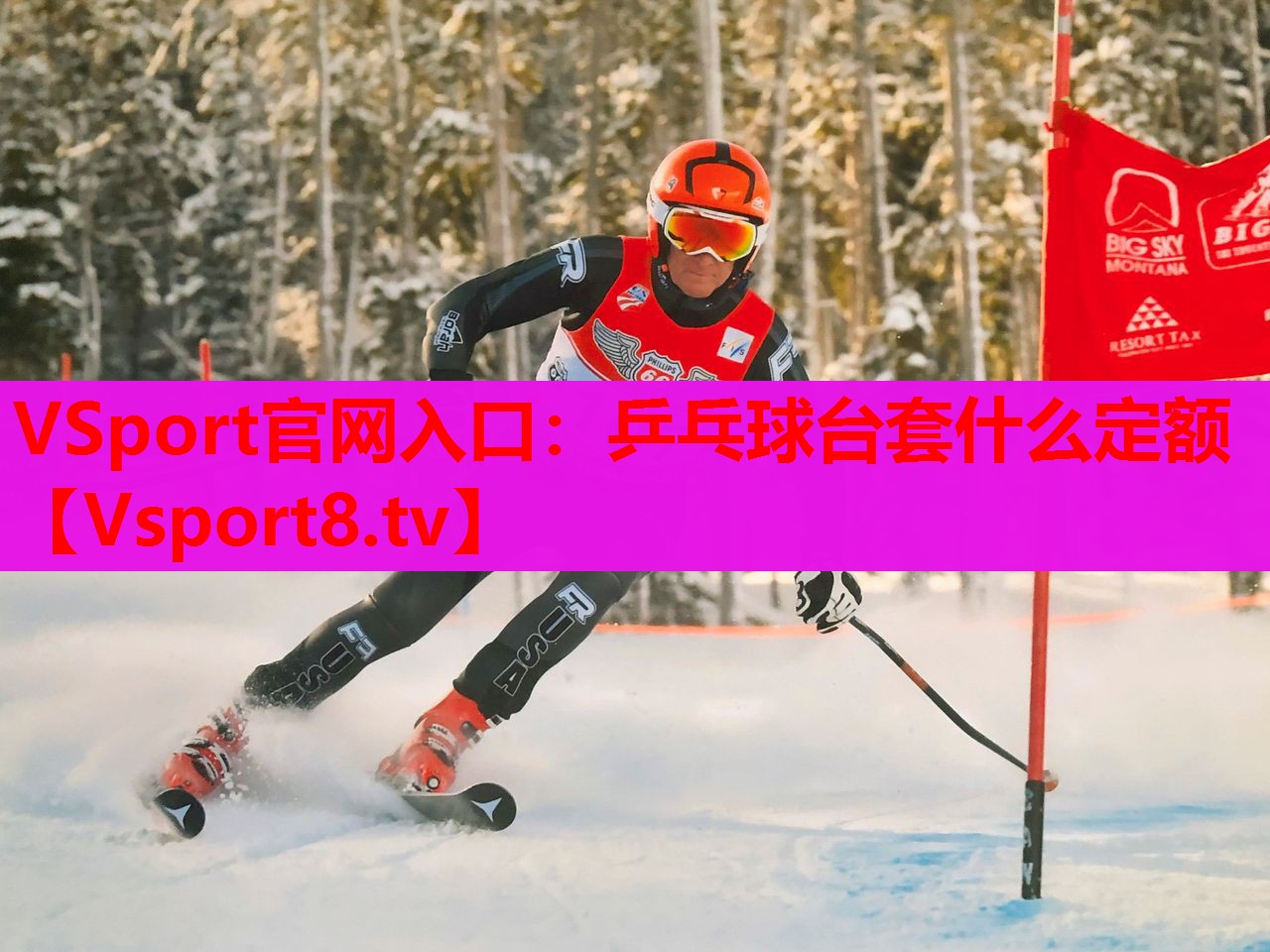 乒乓球台套什么定额